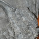Buste van Ajax: detail 2