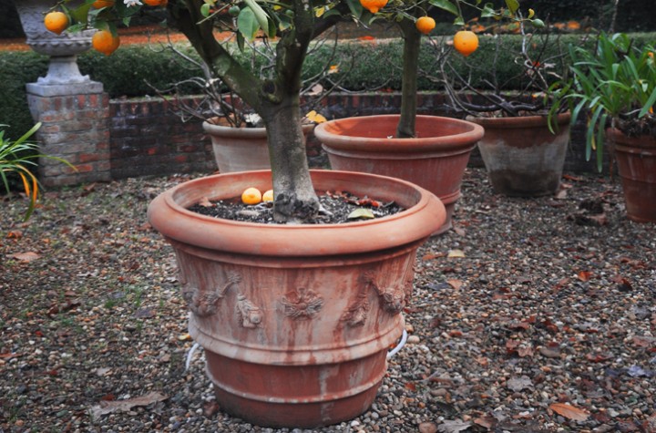 Luc D'Hulst Plantenbak 3