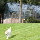 Plantenserre 2 Luc D' Hulst detail 3